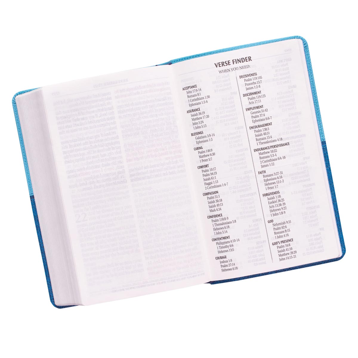 KJV Giant Print Bible Blue Red Letter Edition