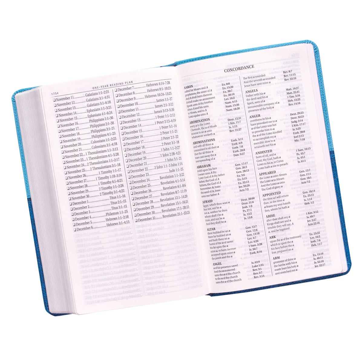 KJV Giant Print Bible Blue Red Letter Edition