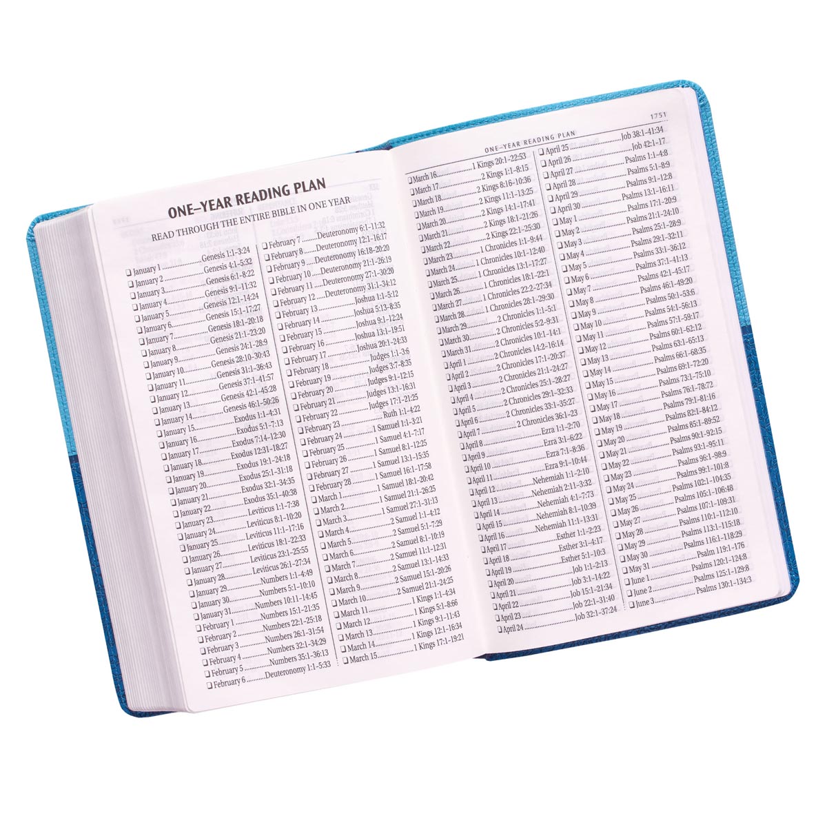 KJV Giant Print Bible Blue Red Letter Edition