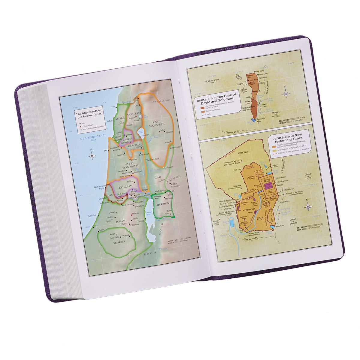 KJV Giant Print Bible Purple Red Letter Edition