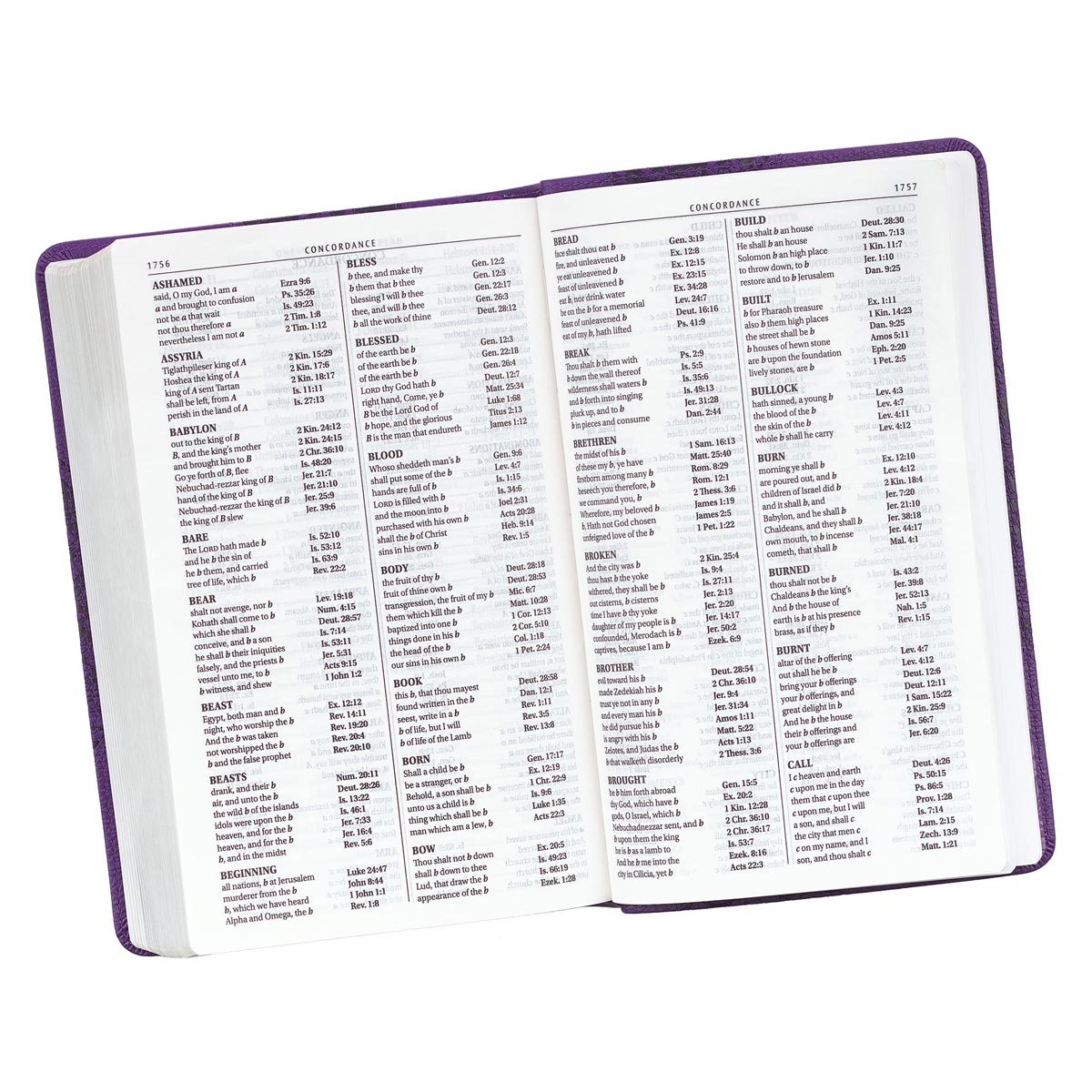 KJV Giant Print Bible Purple Red Letter Edition