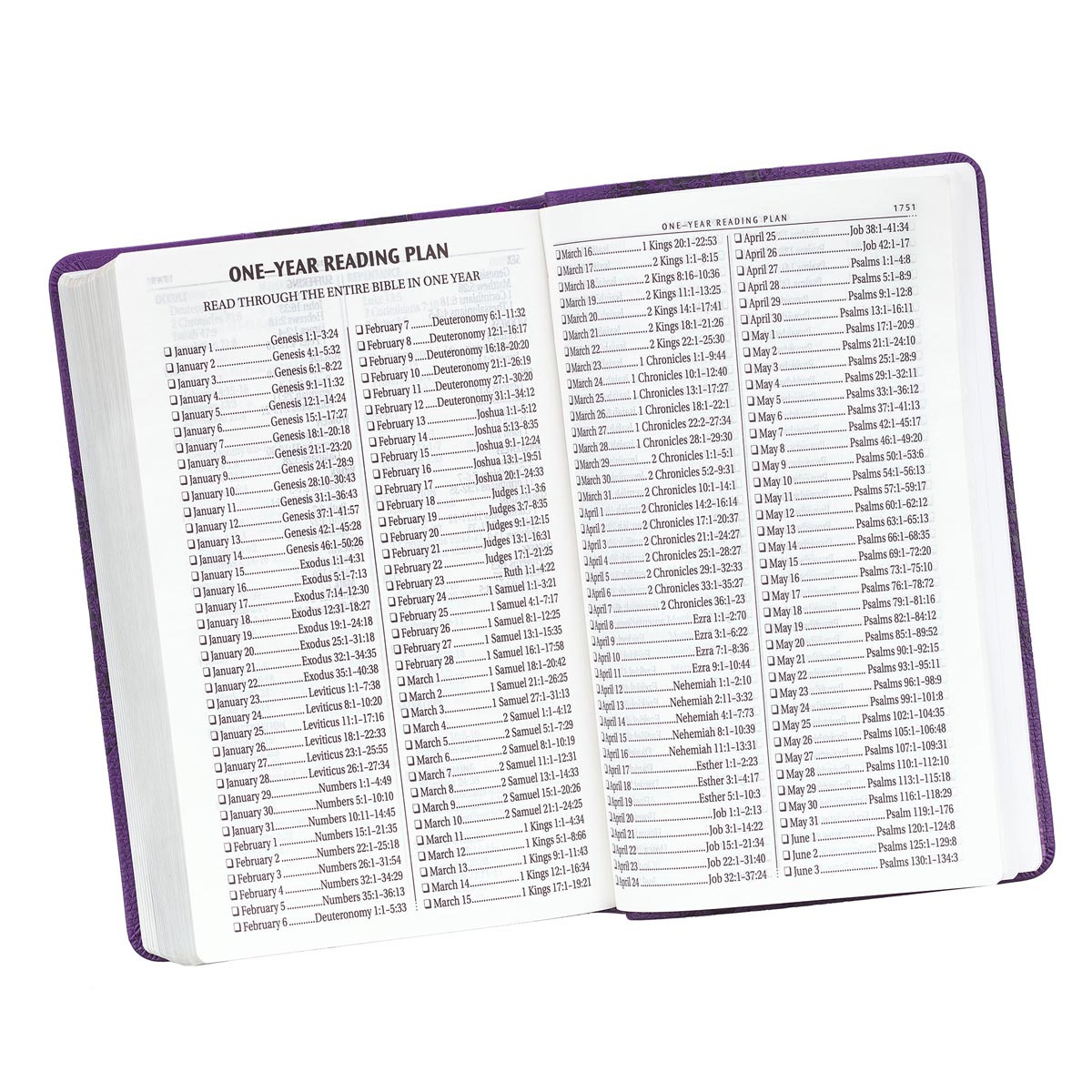 KJV Giant Print Bible Purple Red Letter Edition
