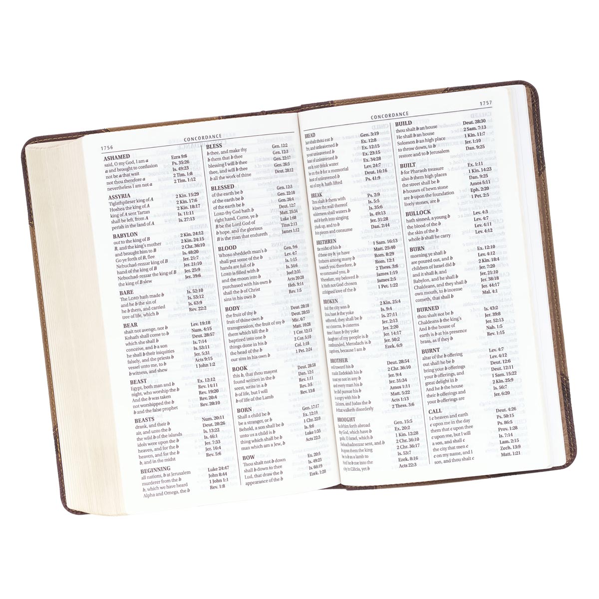 KJV Giant Print Bible 2-Tone Brown Red Letter Edition