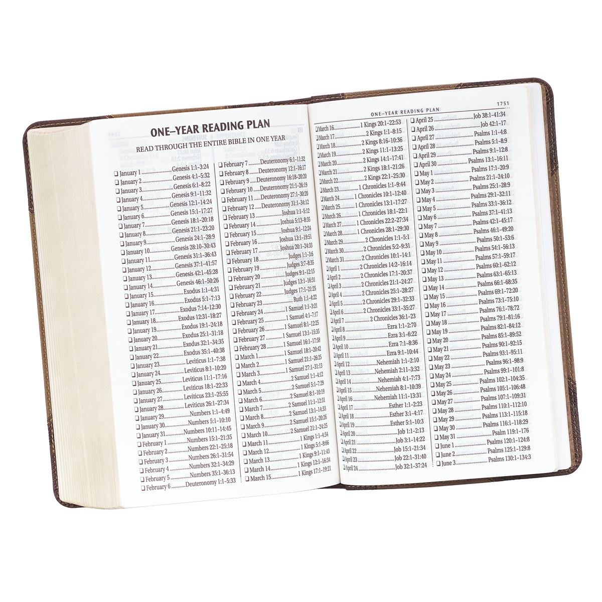KJV Giant Print Bible 2-Tone Brown Red Letter Edition