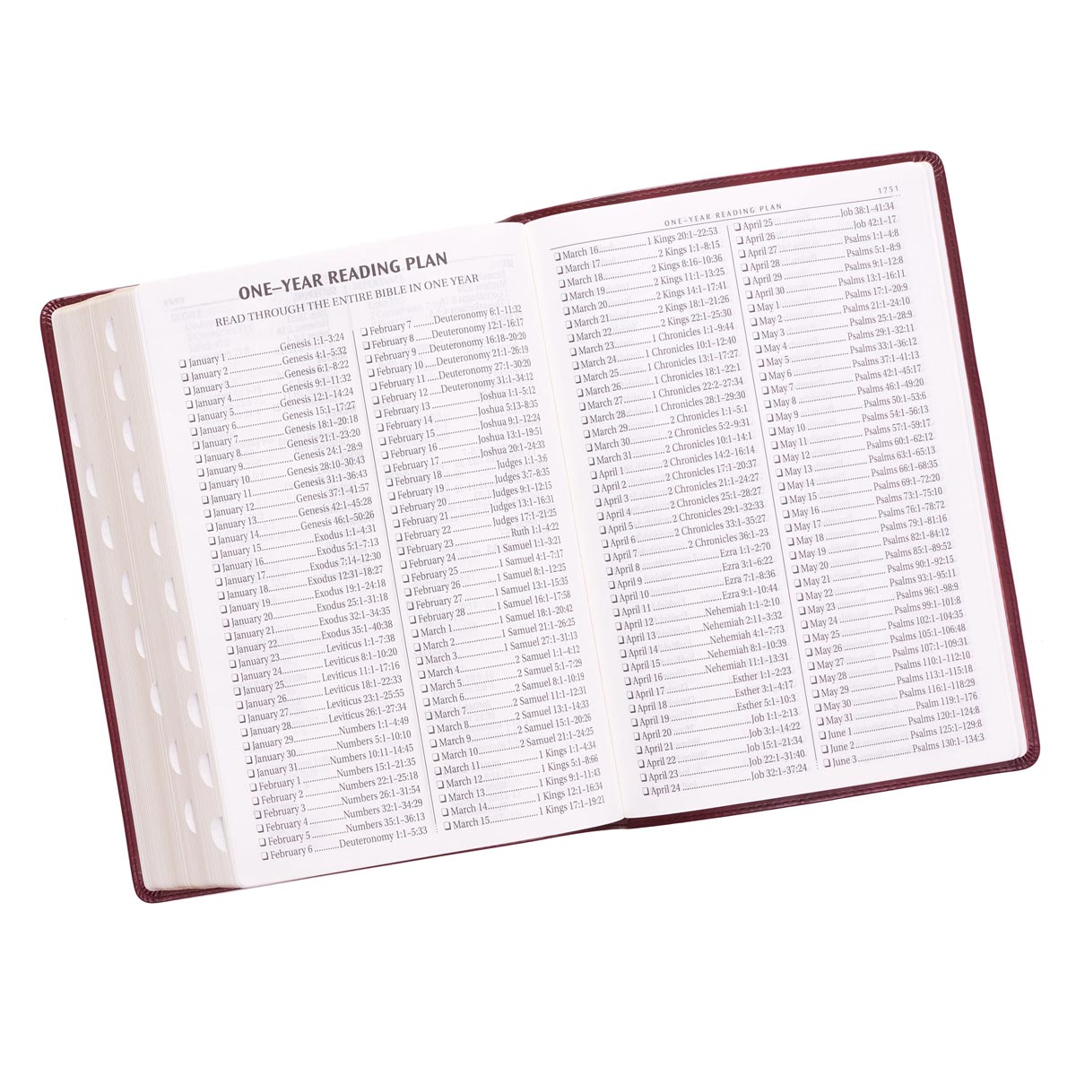 KJV Super Giant Print Bible Burgundy (Red Letter Edition)