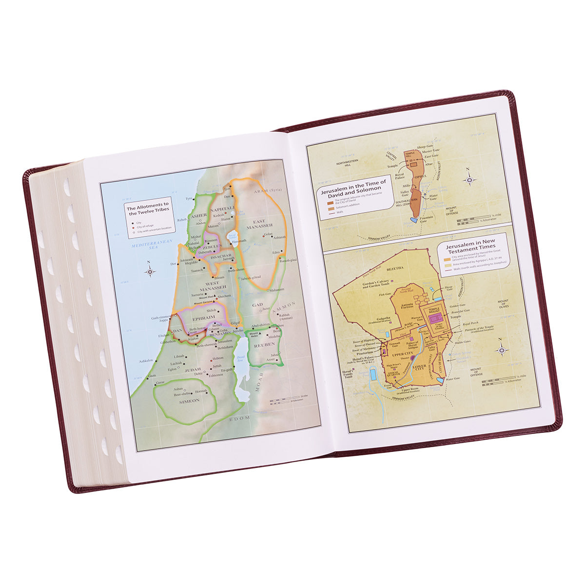 KJV Super Giant Print Bible Burgundy (Red Letter Edition)
