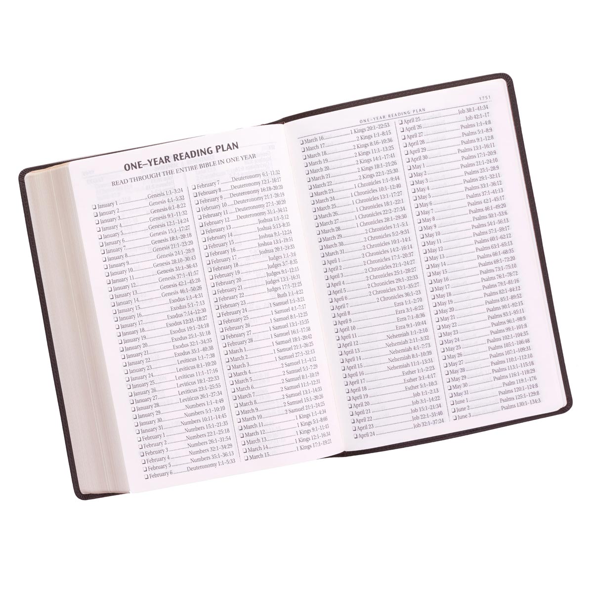 KJV Super Giant Print Bible Brown (Red Letter Edition)