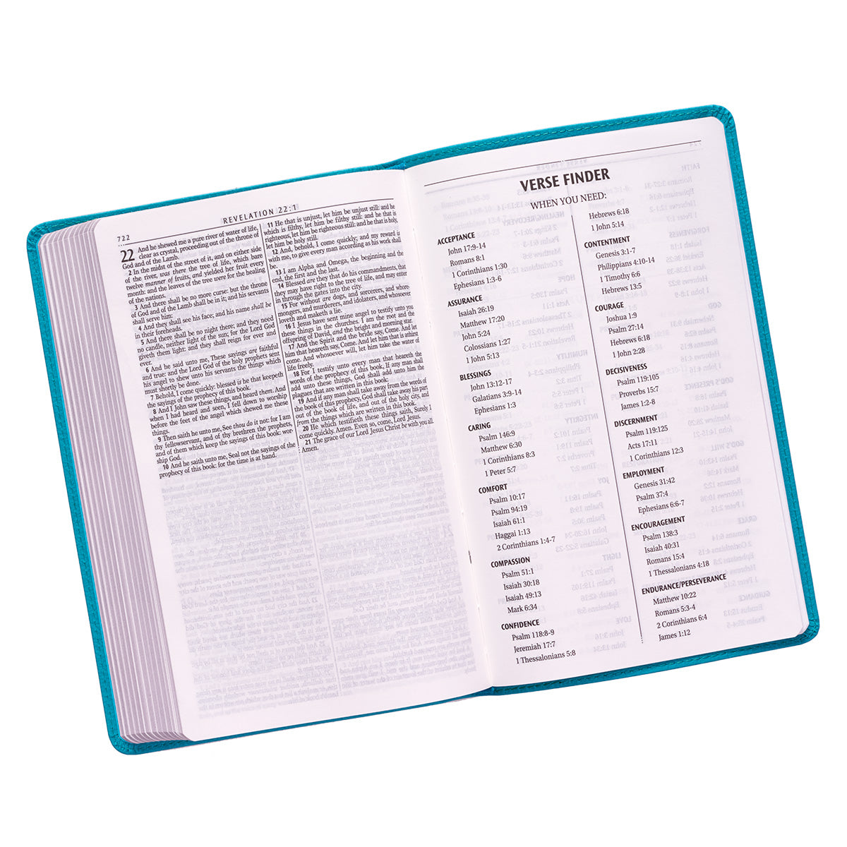 KJV Gift & Award Bible Turquoise (Black Letter Edition)