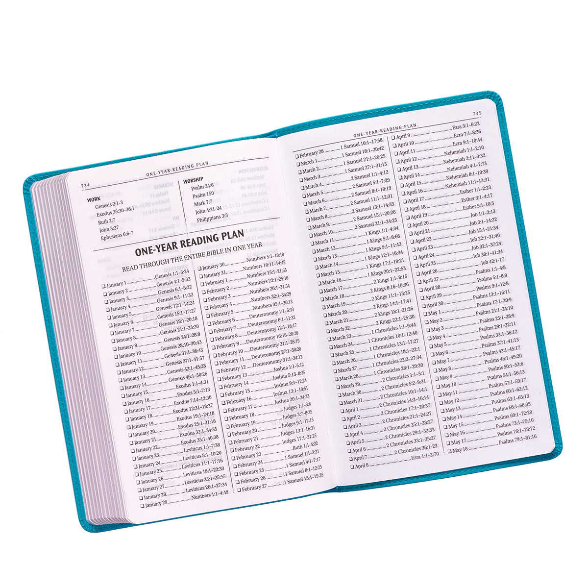 KJV Gift & Award Bible Turquoise (Black Letter Edition)