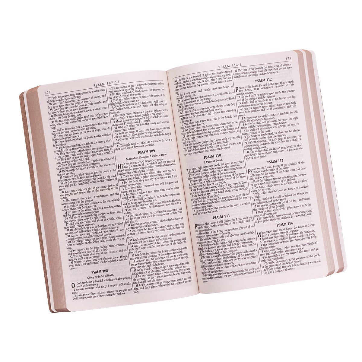 KJV Gift & Award Brown (Black Letter Edition)