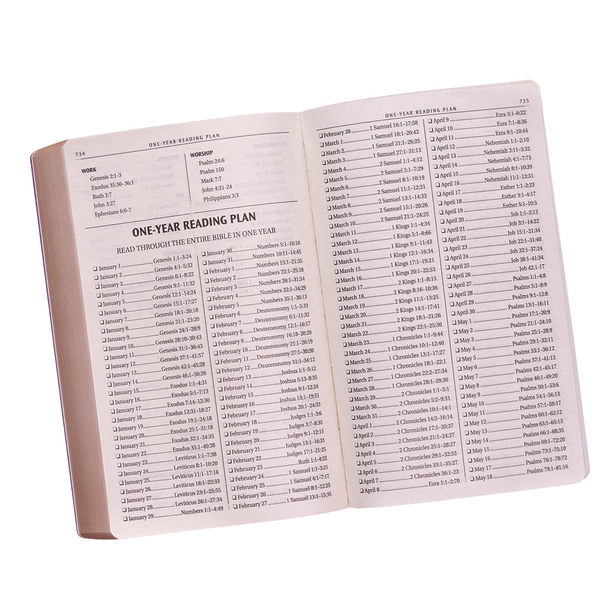 KJV Gift & Award Bible Purple (Black Letter Edition)