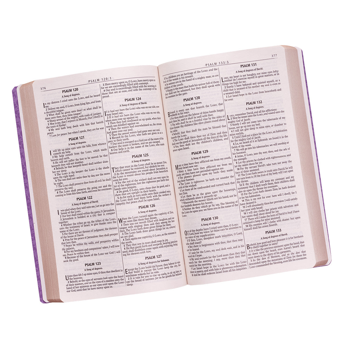 KJV Gift & Award Bible Purple (Black Letter Edition)