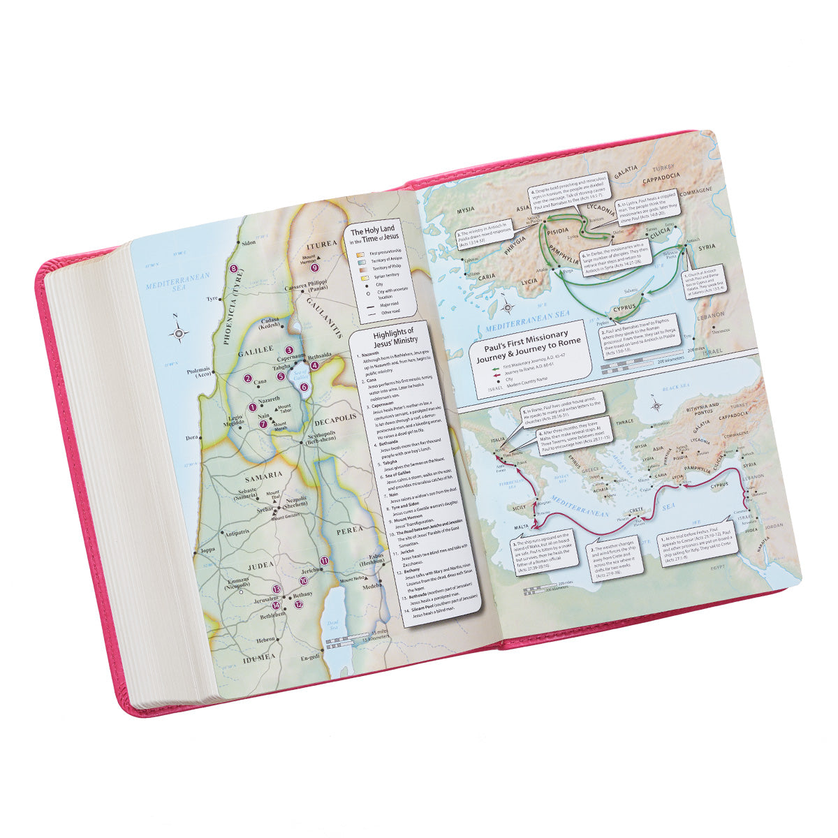 KJV Compact Large Print Pink Red Letter Edition