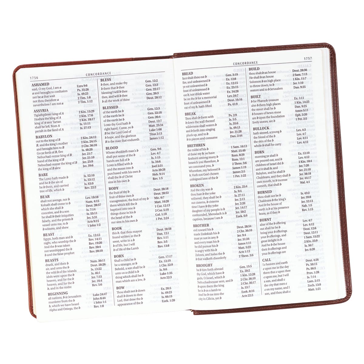 KJV Giant Print Bible 2-Tone Brown Red Letter Edition