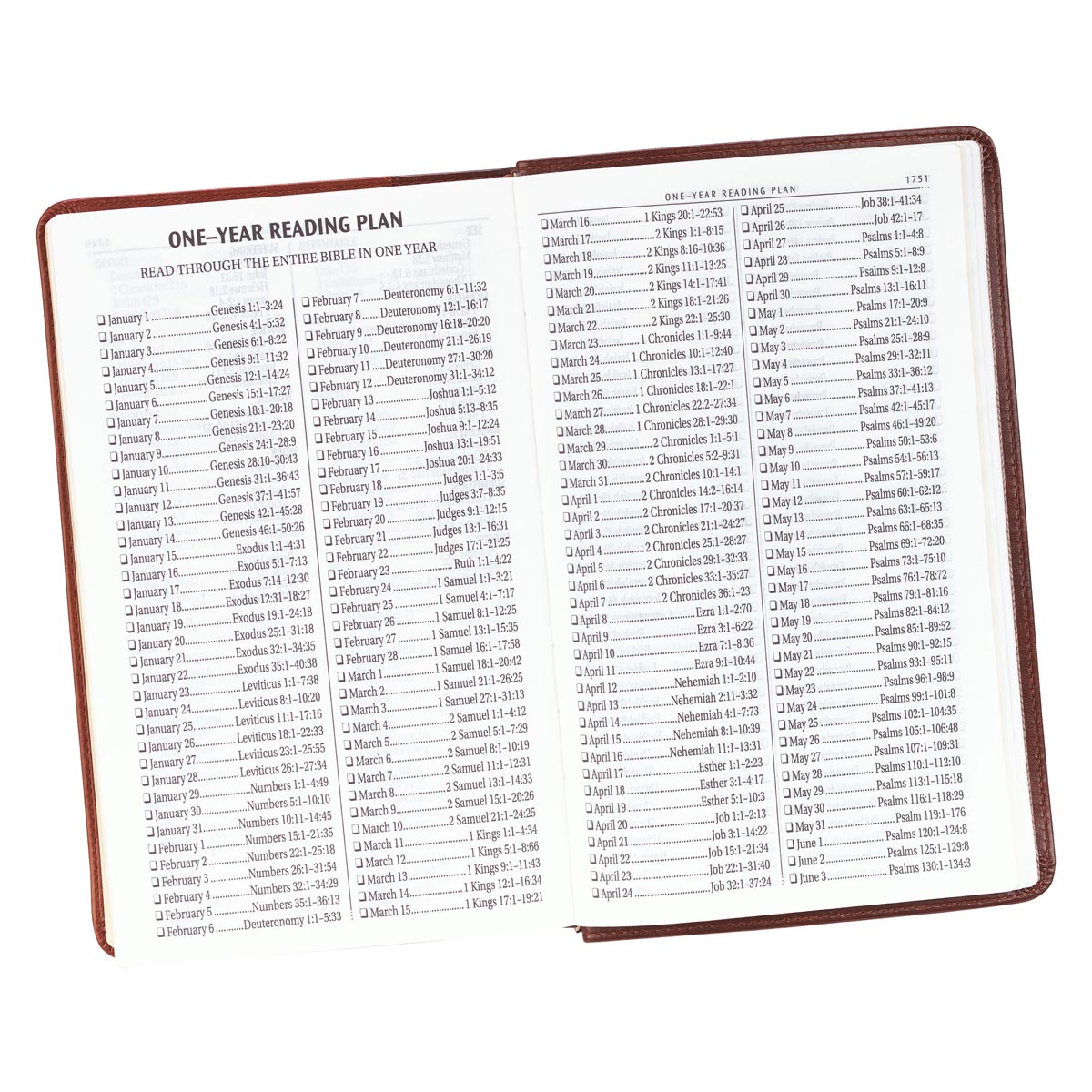 KJV Giant Print Bible 2-Tone Brown Red Letter Edition