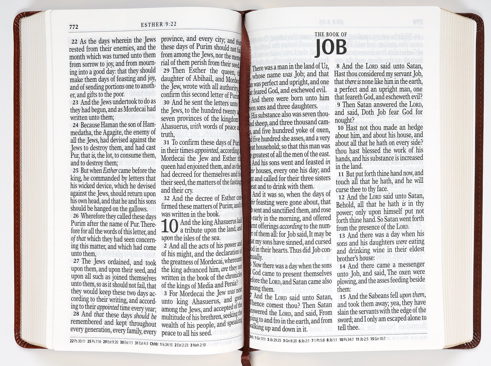 KJV Giant Print Bible 2-Tone Brown Red Letter Edition