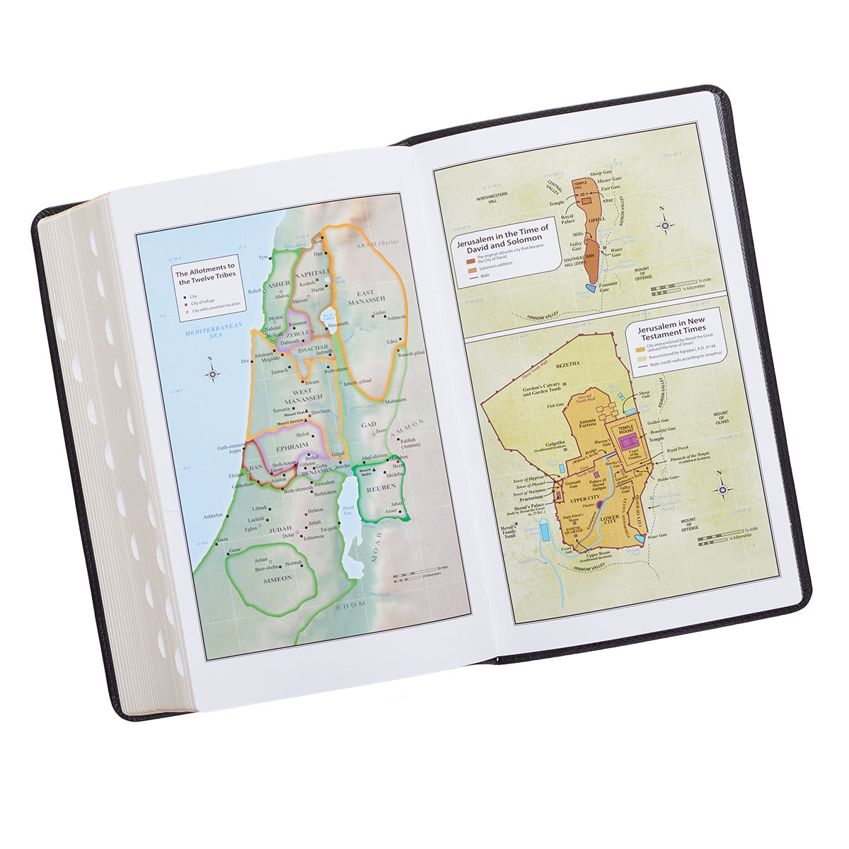 KJV Giant Print Bible 2-Tone Black (Red Letter Edition)