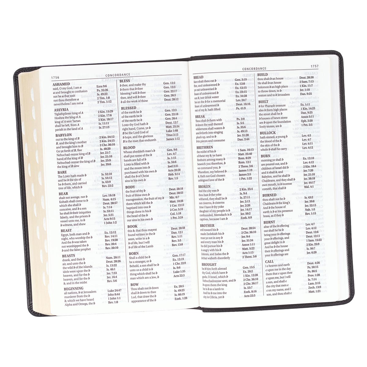 KJV Giant Print Bible 2-Tone Black (Red Letter Edition)