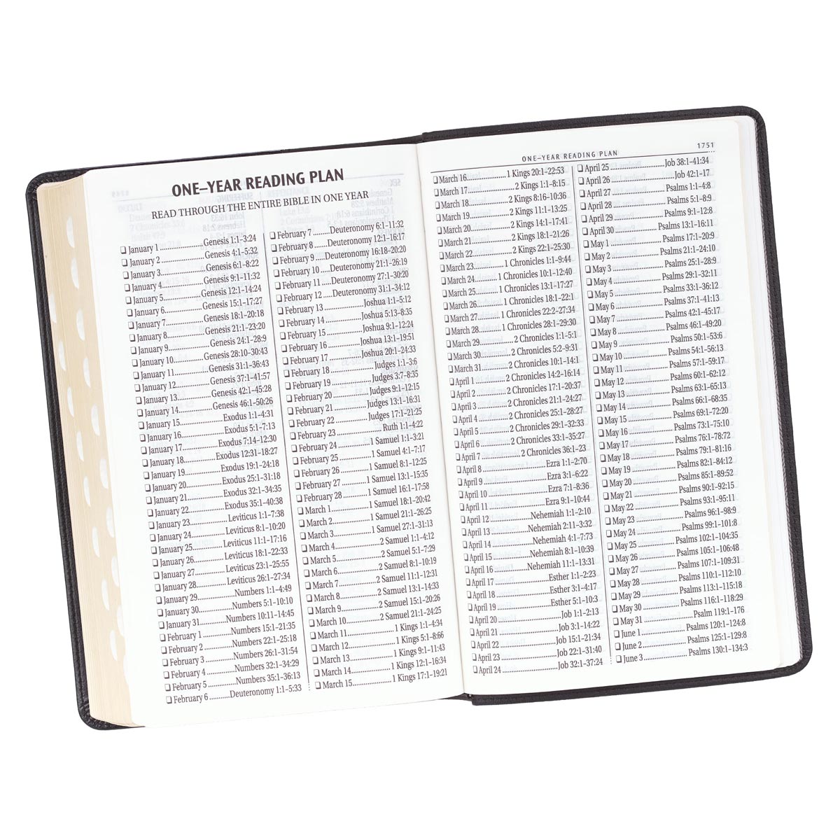KJV Giant Print Bible 2-Tone Black (Red Letter Edition)