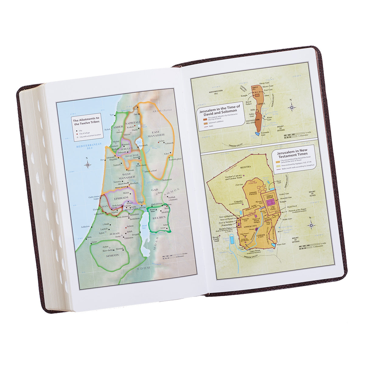 KJV Giant Print Bible Pattern Dark Brown (Red Letter Edition)