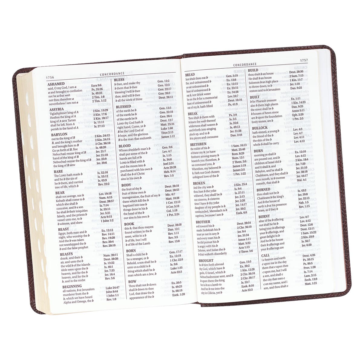 KJV Giant Print Bible Pattern Dark Brown (Red Letter Edition)