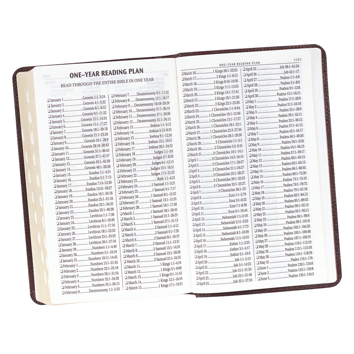 KJV Giant Print Bible Pattern Dark Brown (Red Letter Edition)