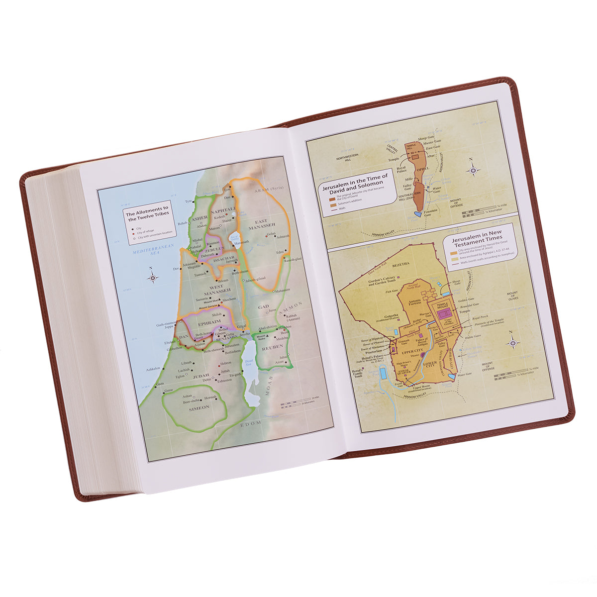 KJV Super Giant Print Bible Tan (Red Letter Edition)