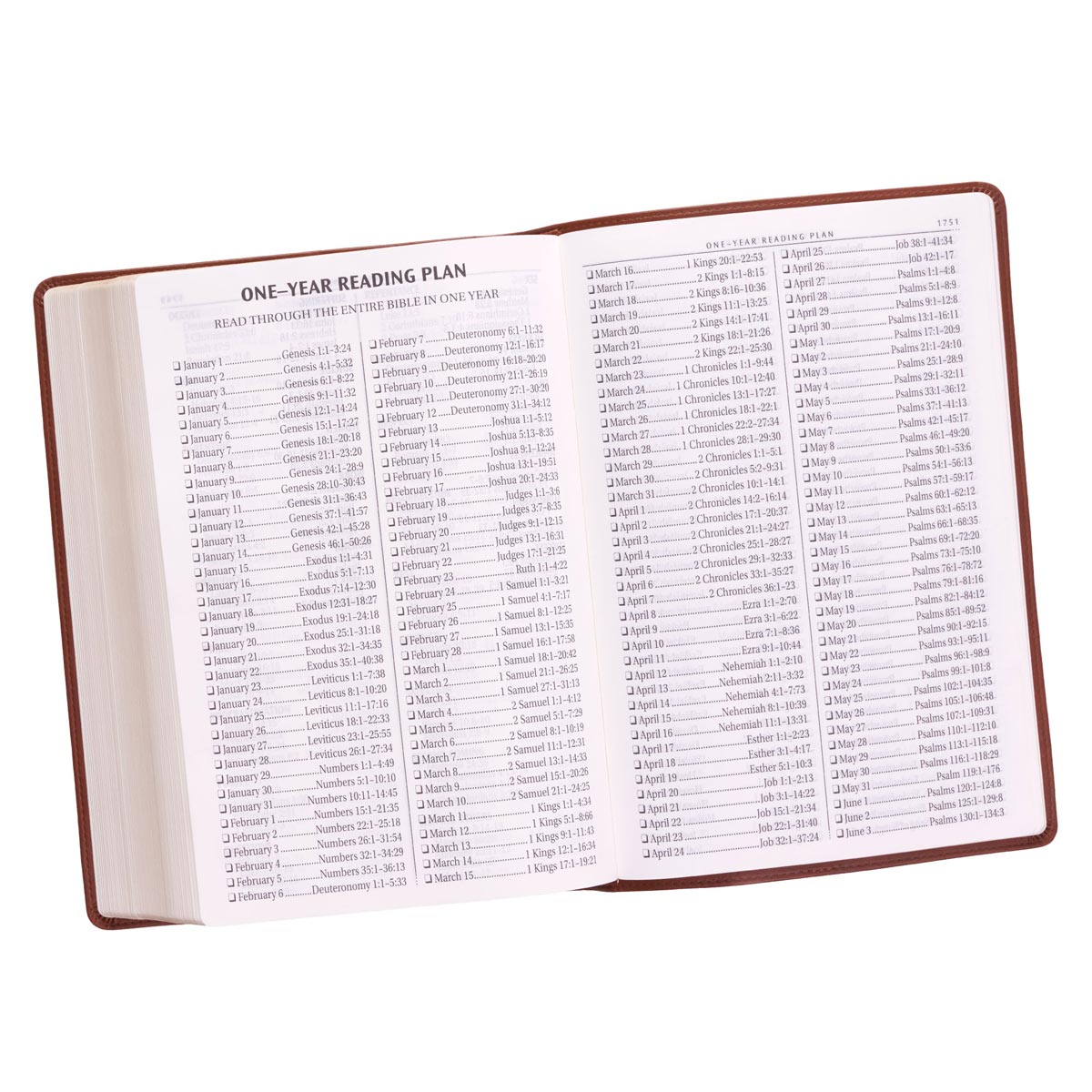 KJV Super Giant Print Bible Tan (Red Letter Edition)