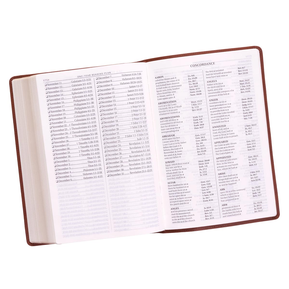 KJV Super Giant Print Bible Tan (Red Letter Edition)