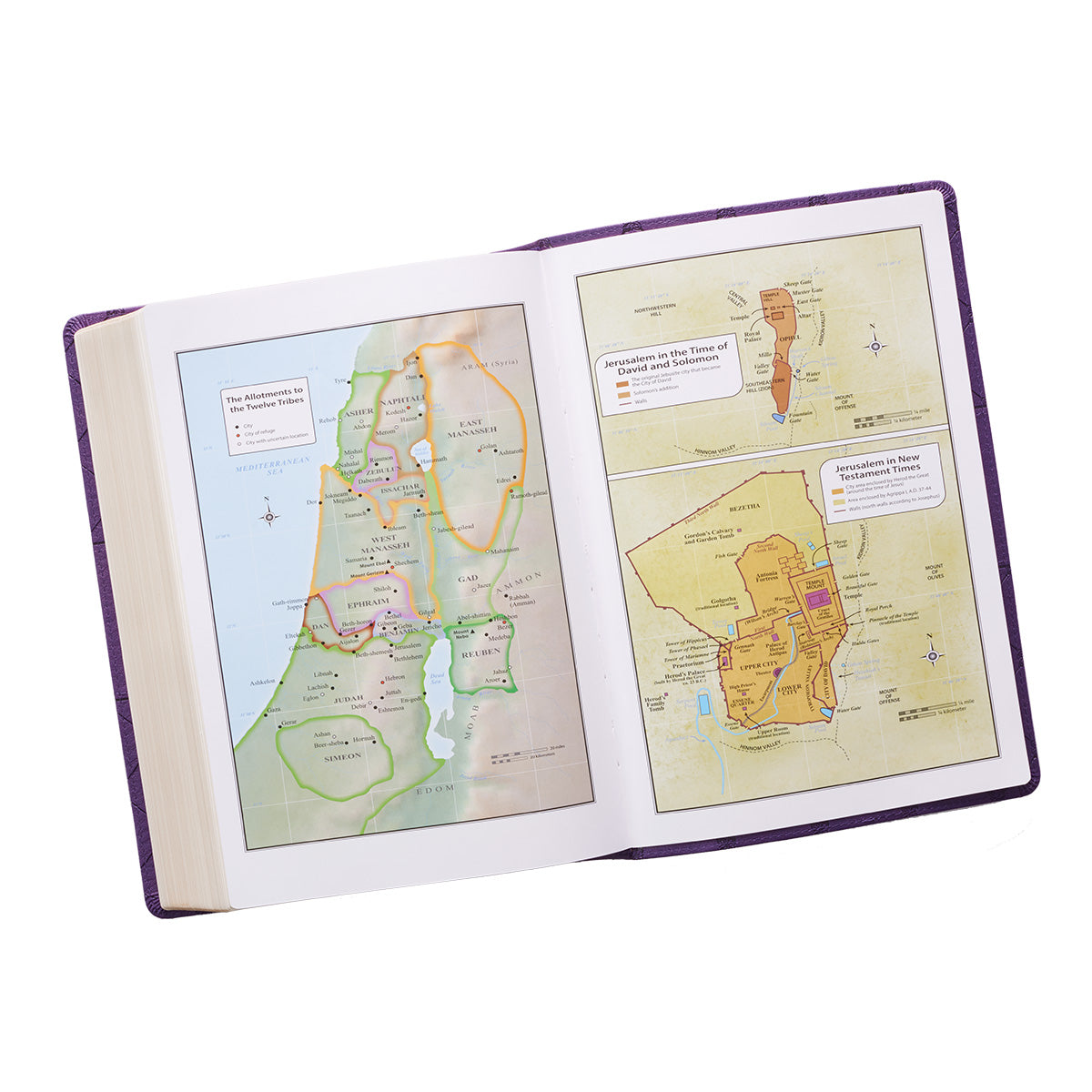 KJV Super Giant Print Bible Purple Red Letter Edition