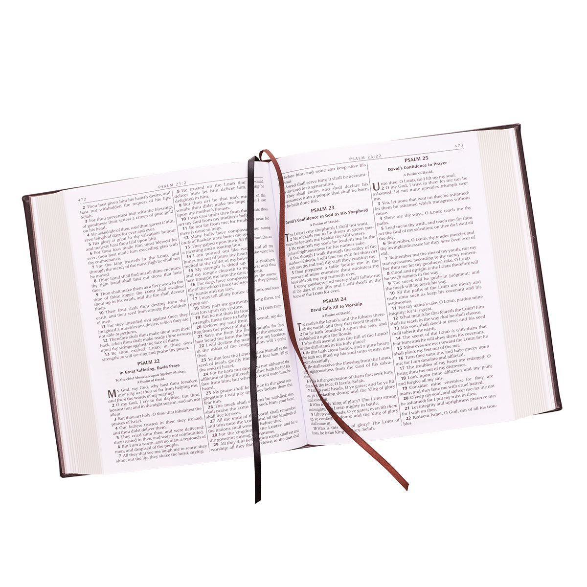 KJV Family Bible Dark Brown (Black Letter Edition)