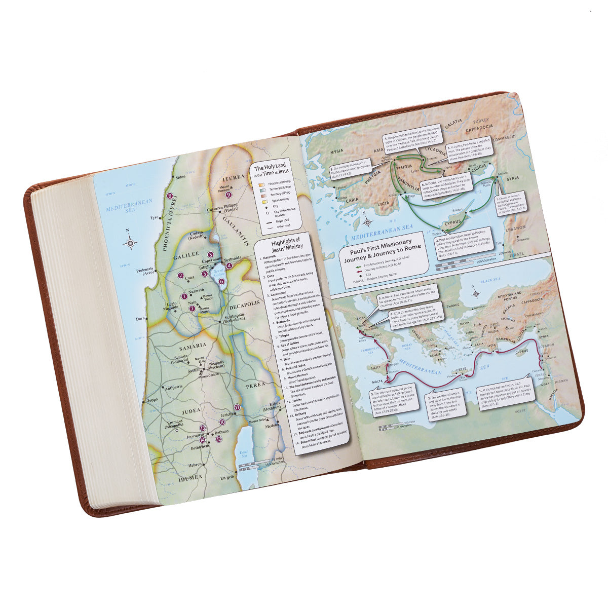 KJV Compact Large Print Tan Red Letter Edition