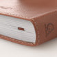366 Devotions: Words of Jesus For Men (Tan)