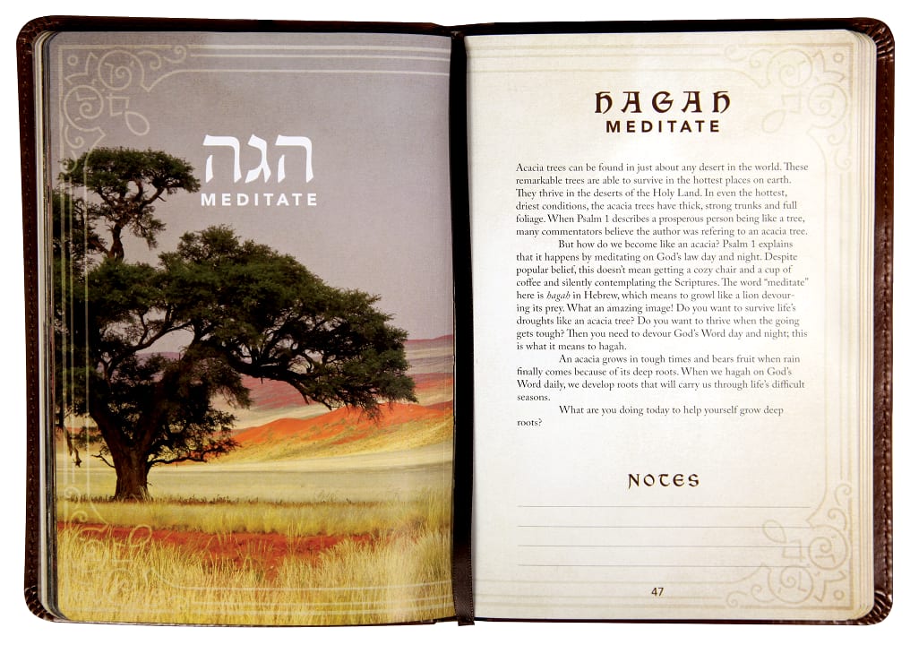 52 Hebrew Words Every Christian Should Know (Brown)