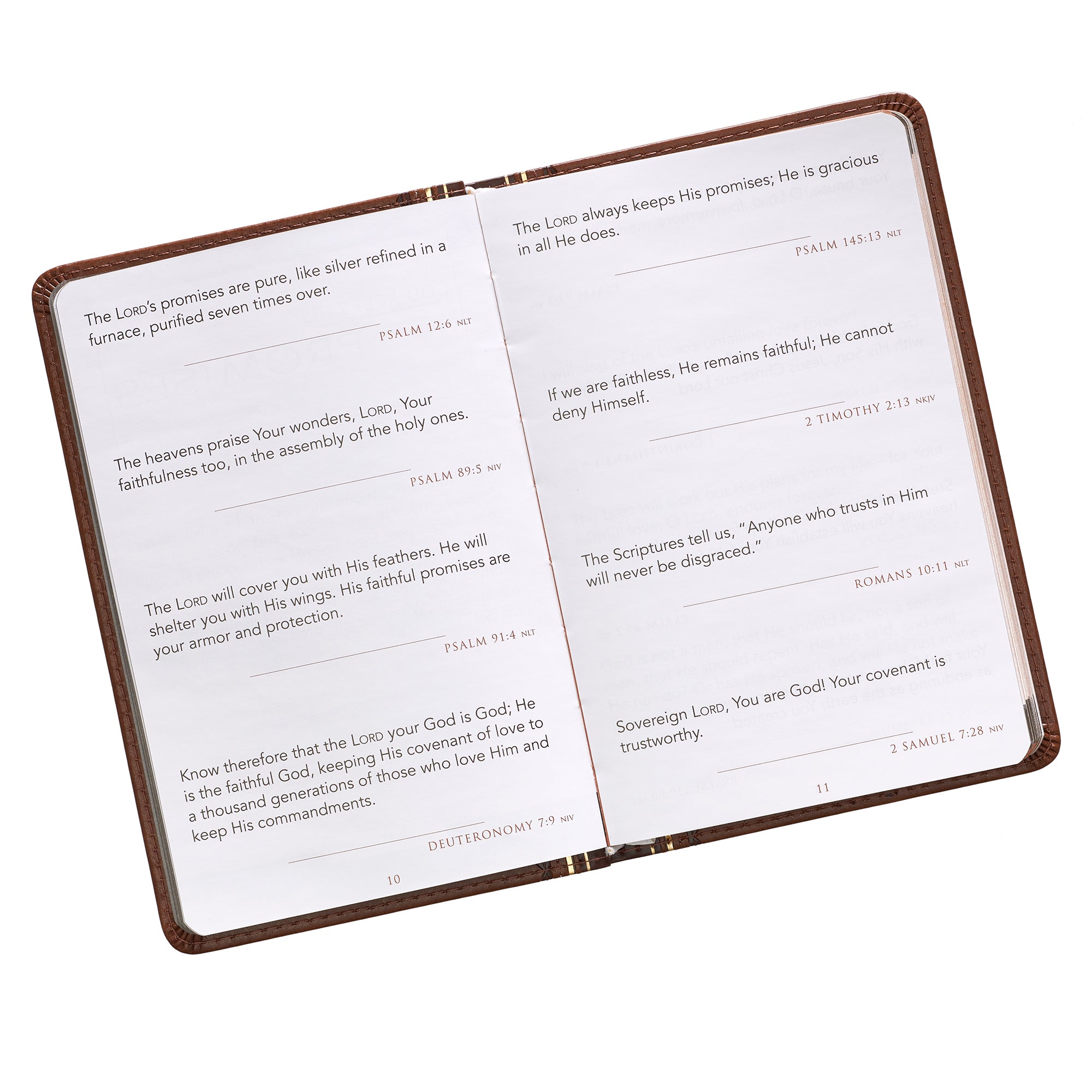 Promises From God For Every Man (Light Brown Luxleather)