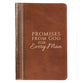 Promises From God For Every Man (Light Brown Luxleather)