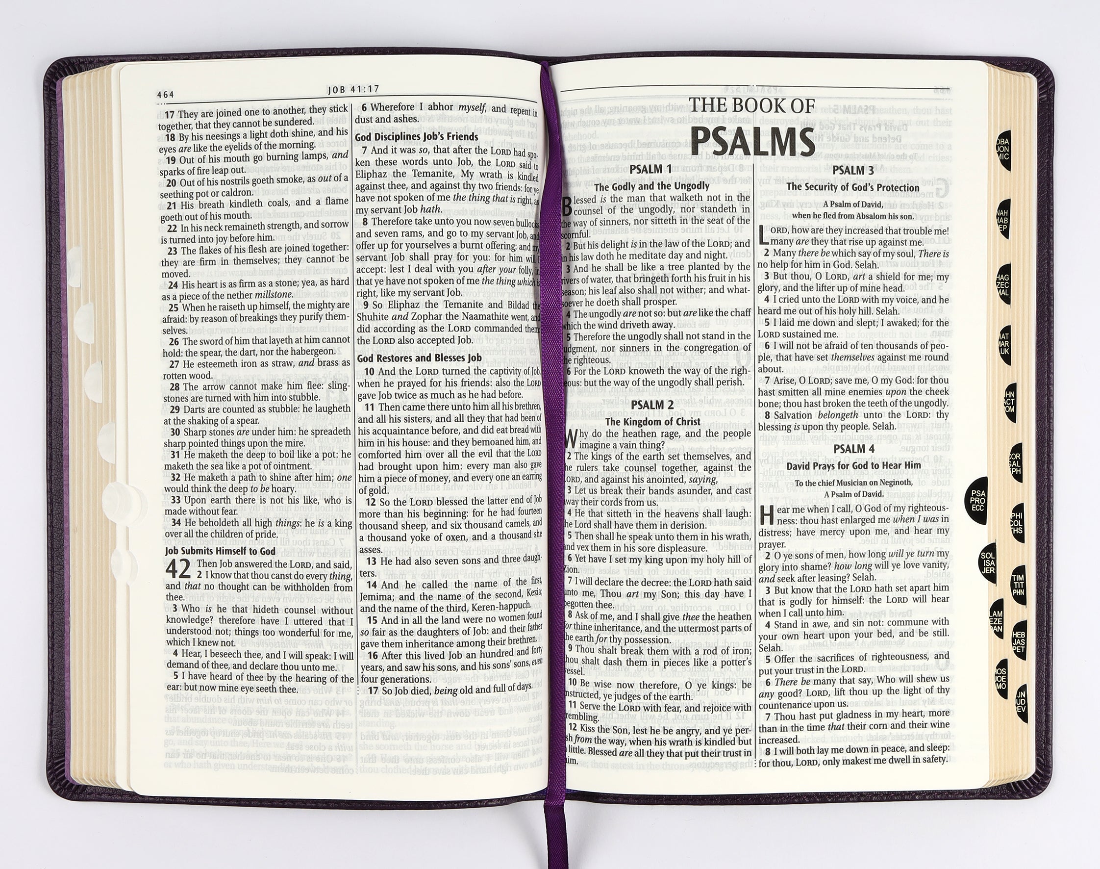 KJV Deluxe Gift Bible Indexed Purple (Red Letter Edition)