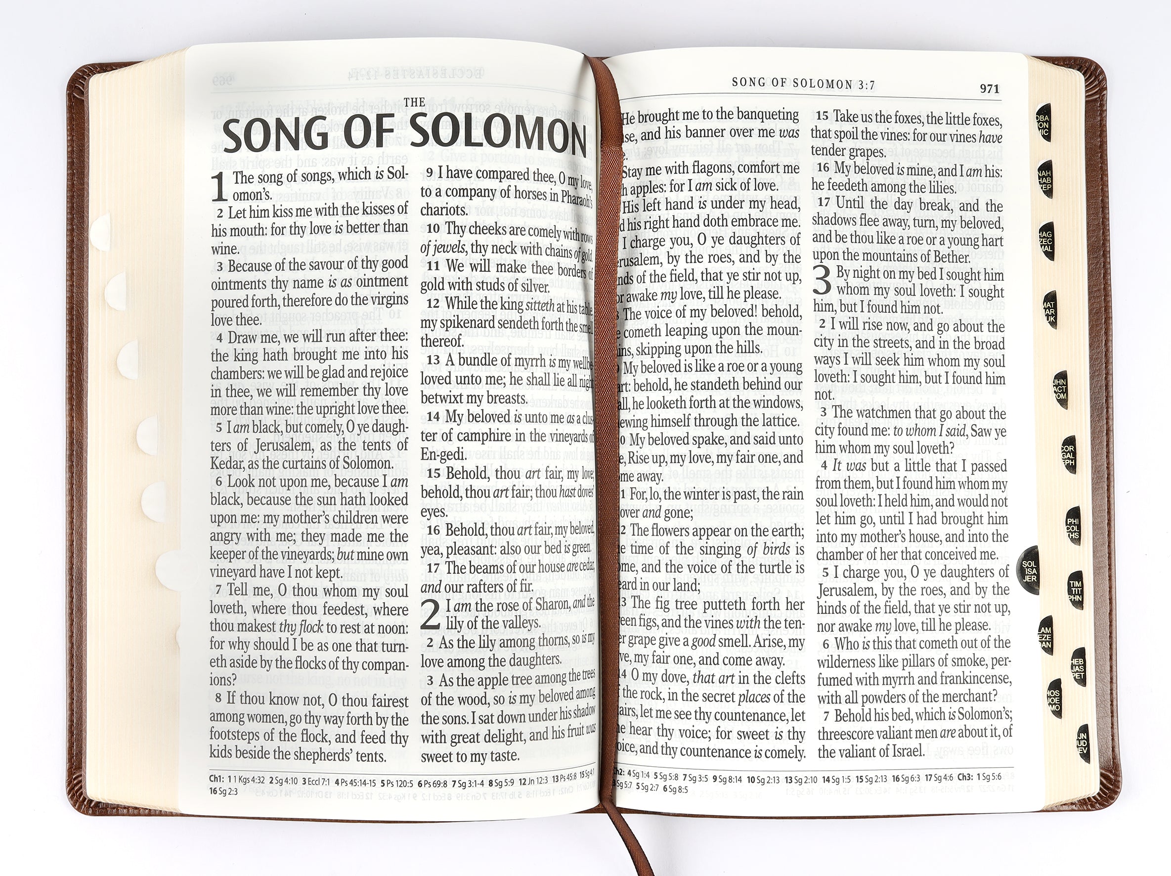 KJV Giant Print Bible Indexed Brown (Red Letter Edition)