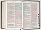 KJV Giant Print Bible Tan Indexed (Red Letter Edition)