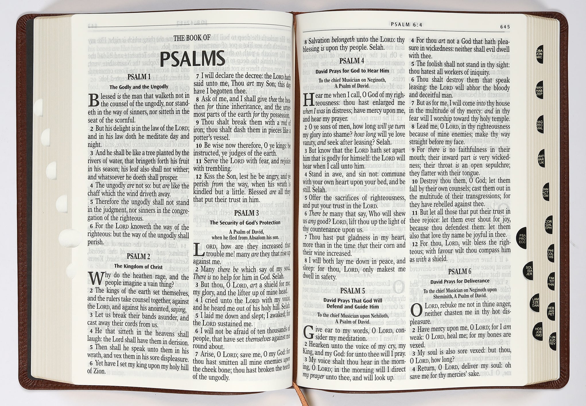 KJV Giant Print Bible Tan Indexed (Red Letter Edition)