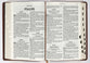 KJV Giant Print Bible Tan Indexed (Red Letter Edition)