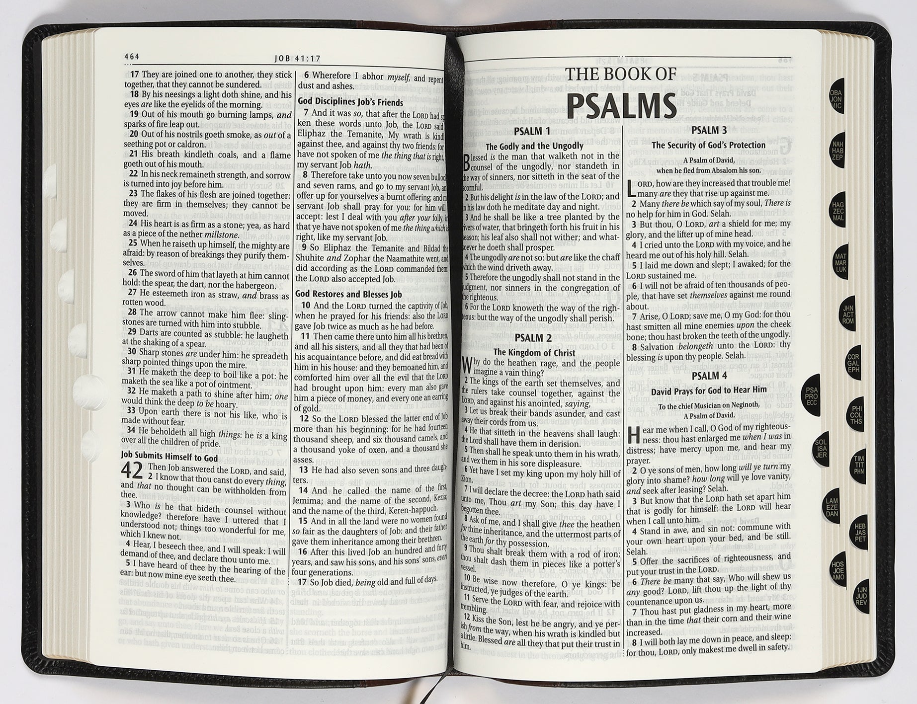 KJV Deluxe Gift Bible