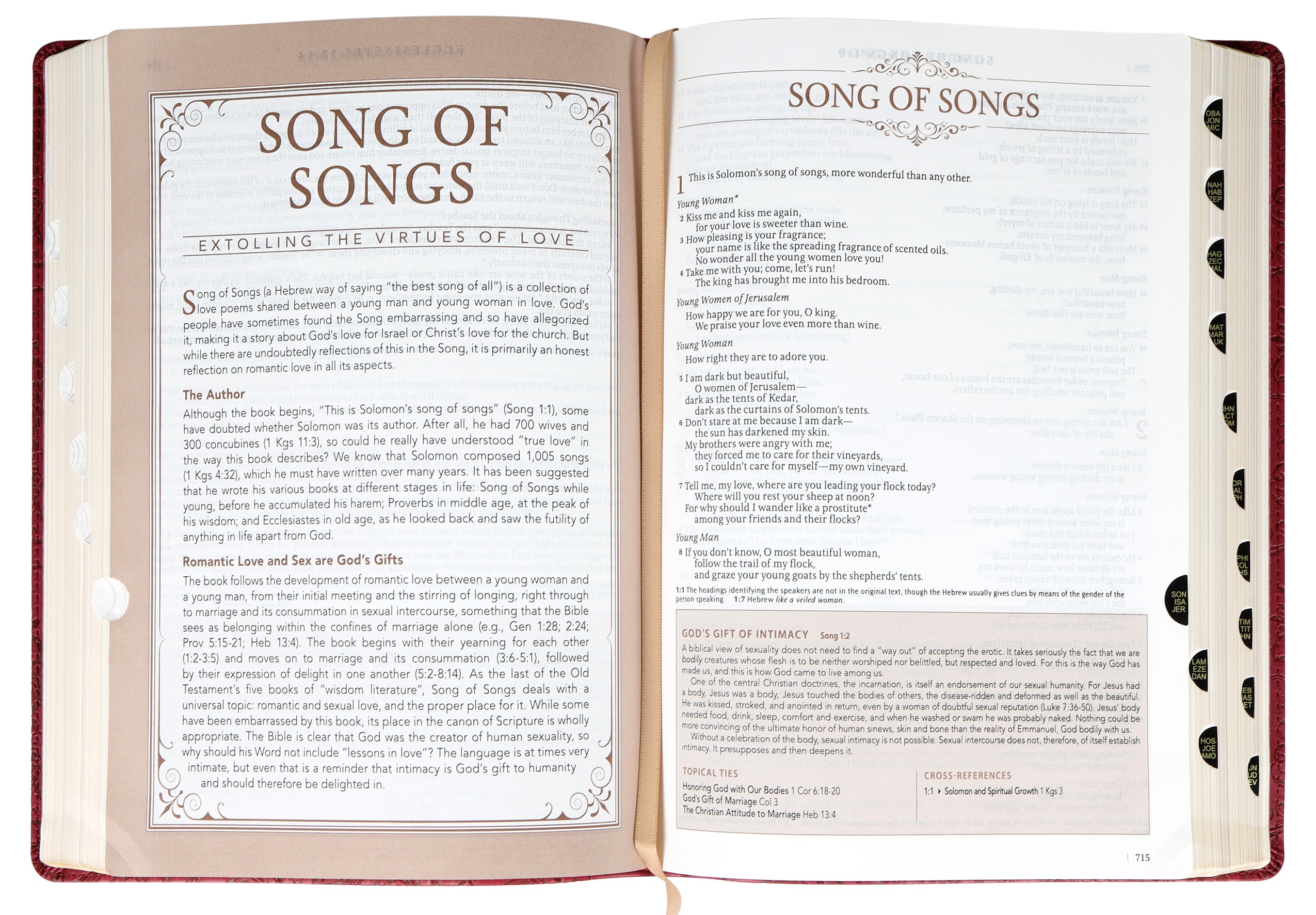 NLT Spiritual Growth Bible Berry Indexed