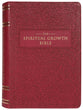 NLT Spiritual Growth Bible Berry Indexed