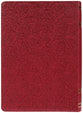 NLT Spiritual Growth Bible Berry Indexed