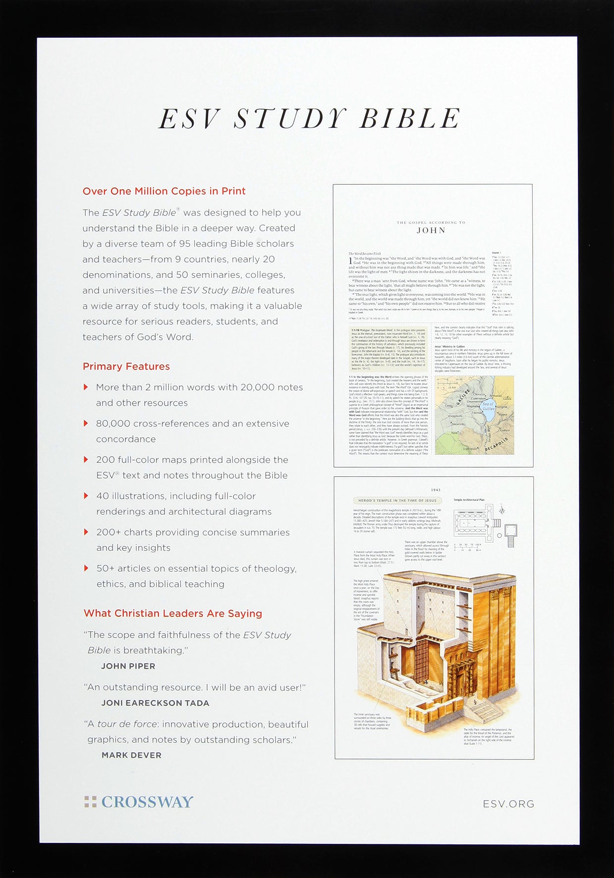 ESV Study Bible (Black Letter Edition)