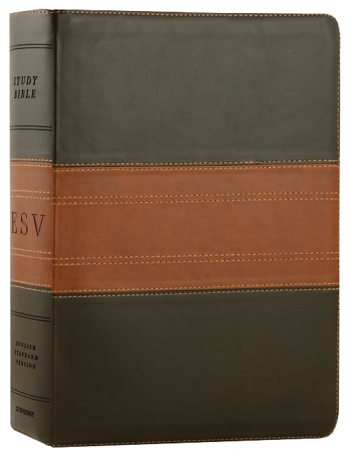 ESV Study Bible Forest/Tan Trail Design (Black Letter Edition)