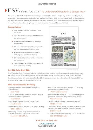 ESV Study Bible Forest/Tan Trail Design (Black Letter Edition)