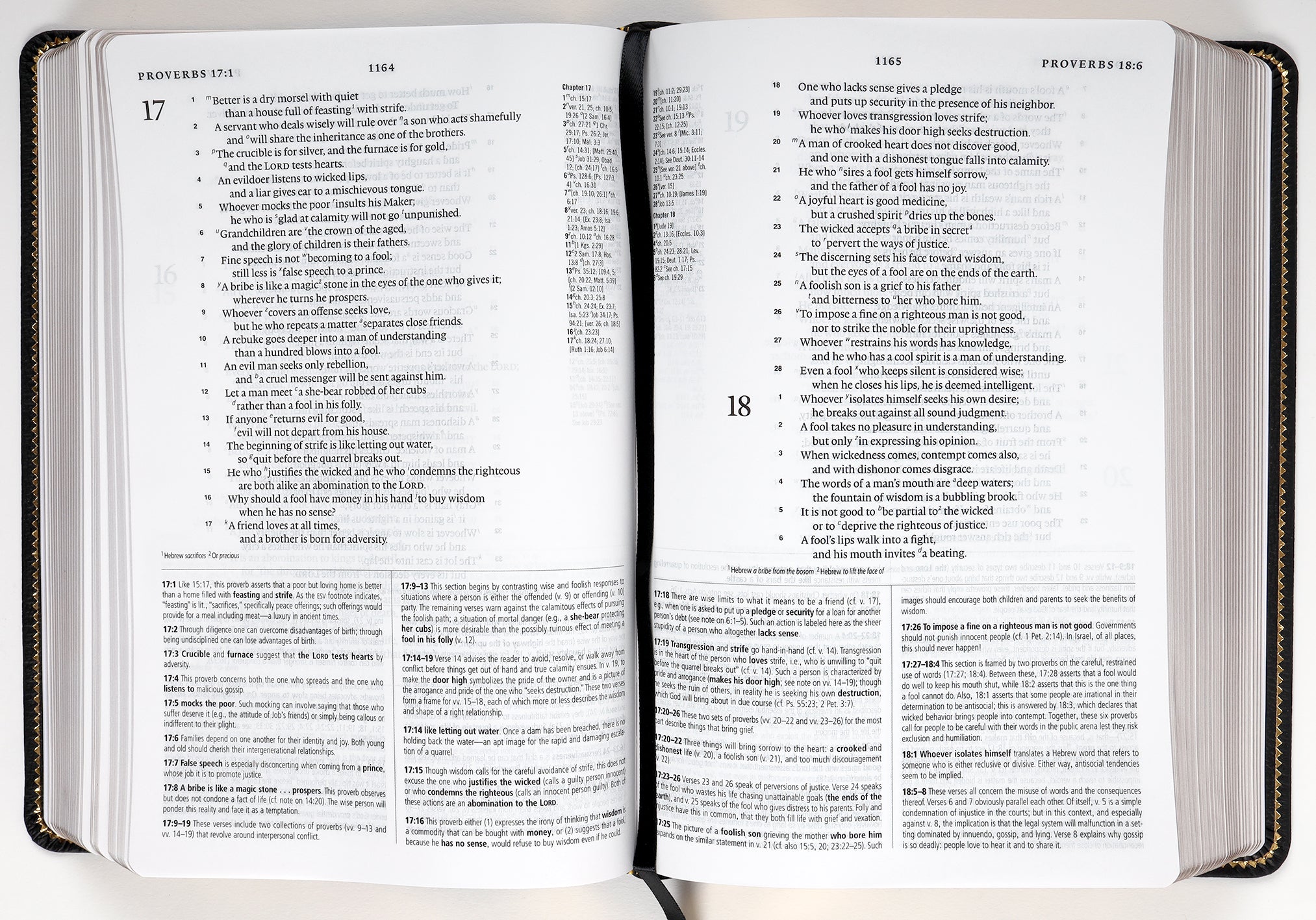 ESV Study Bible Personal Size Black (Black Letter Edition)