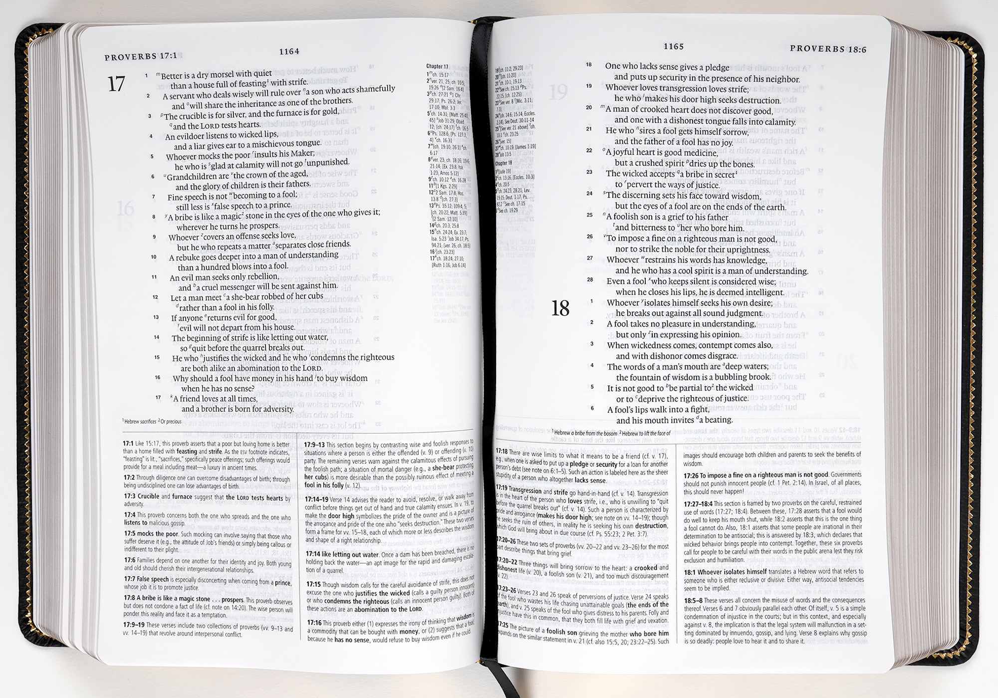 ESV Study Bible Personal Size Black (Black Letter Edition)